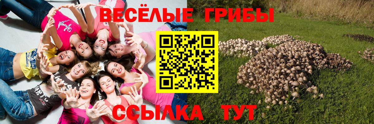 Сарапул  Псилоцибиновые грибы GOLDEN TEACHER  Вход с VPN 